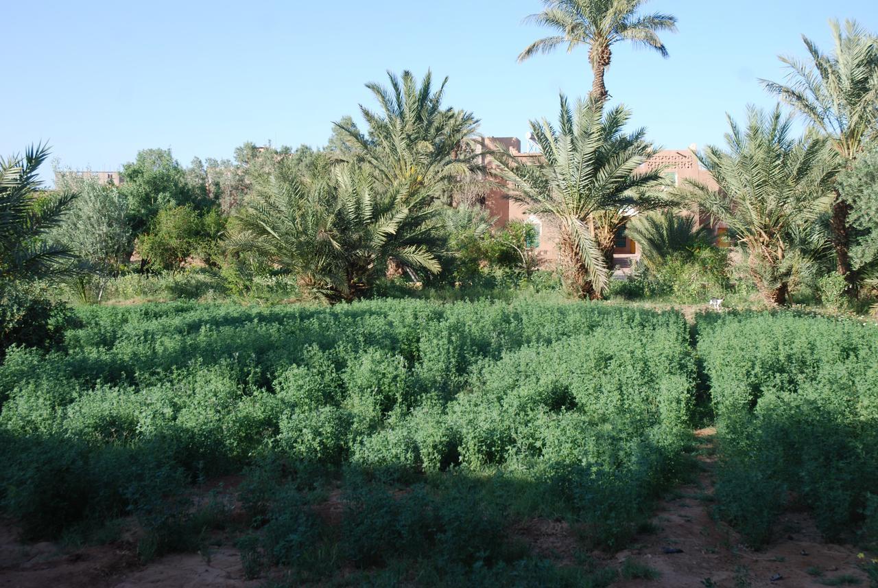 d'hôte Jnane-Dar Diafa Tamgrout Exterior foto