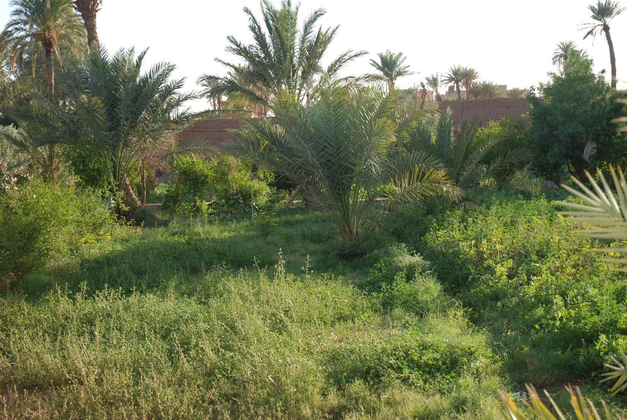 d'hôte Jnane-Dar Diafa Tamgrout Exterior foto